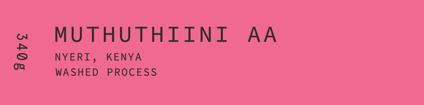 Muthuthiini AA - Kenya